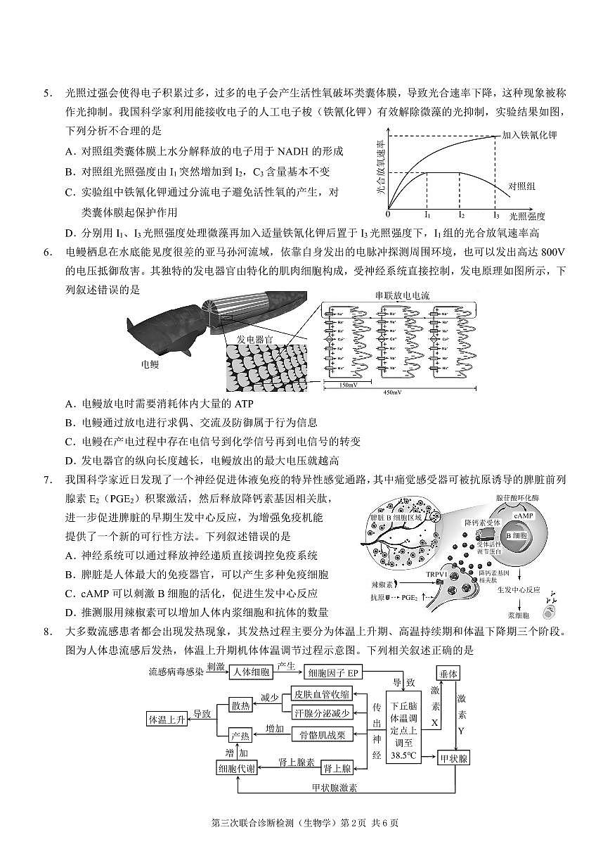 2025届重庆康德三诊生物+答案第2页