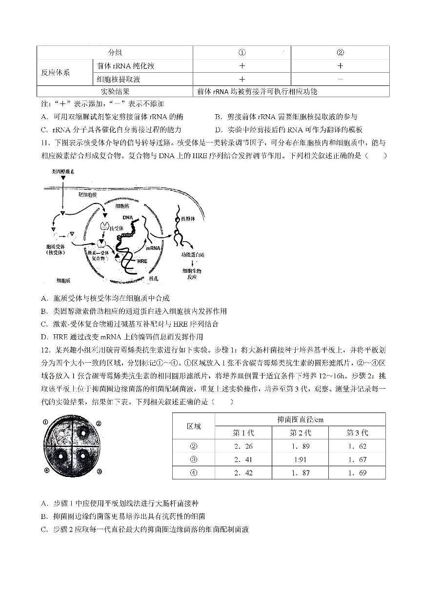 2025届福建省泉州市高三上学期8月高中毕业班质量监测（一）生物试卷（含答案）第3页