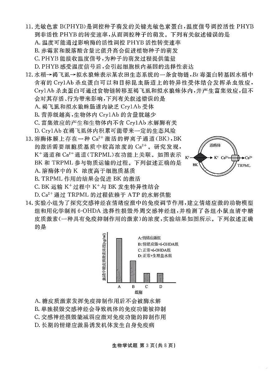 2025届广东衡水金卷高三8月摸底联考生物试题（含答案）第3页