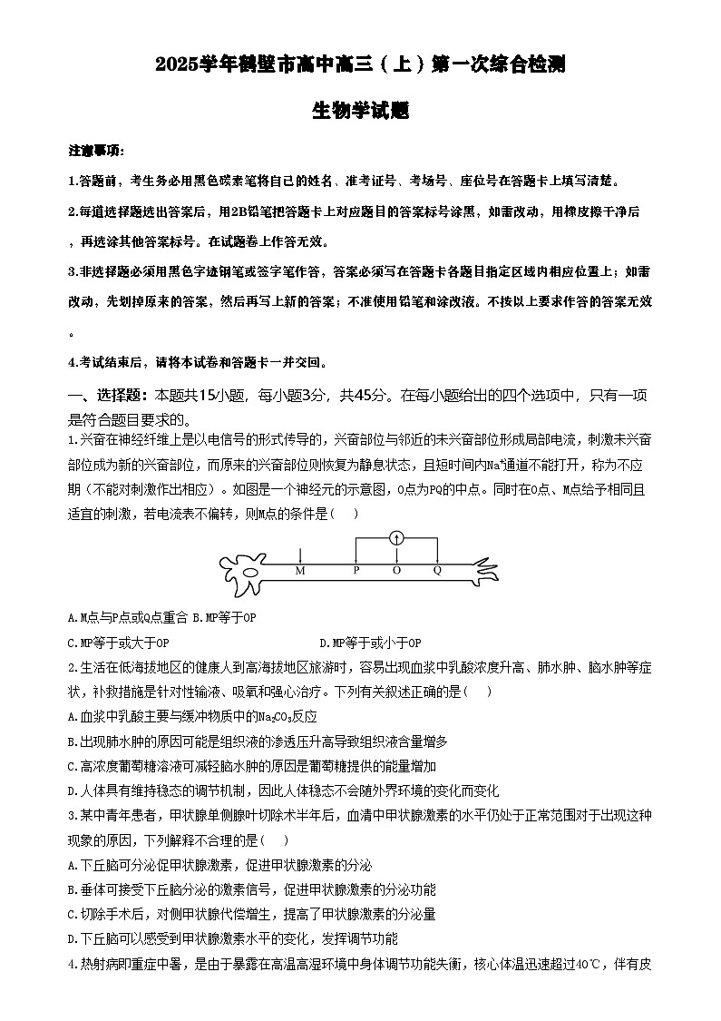 河南省鹤壁市高中2024-2025学年高三上学期第一次综合检测生物试题（含答案）第1页