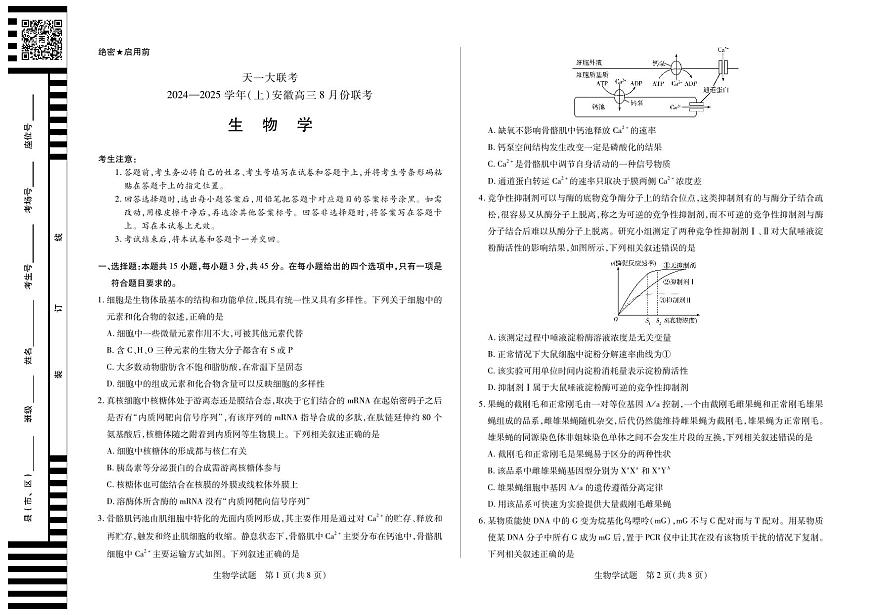 天一大联考2024-2025学年（上）安徽高三8月份联考 生物试卷（含答案）第1页