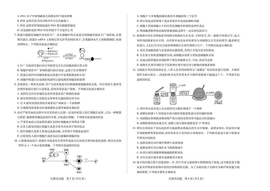 天一大联考2024-2025学年（上）安徽高三8月份联考 生物试卷（含答案）第2页