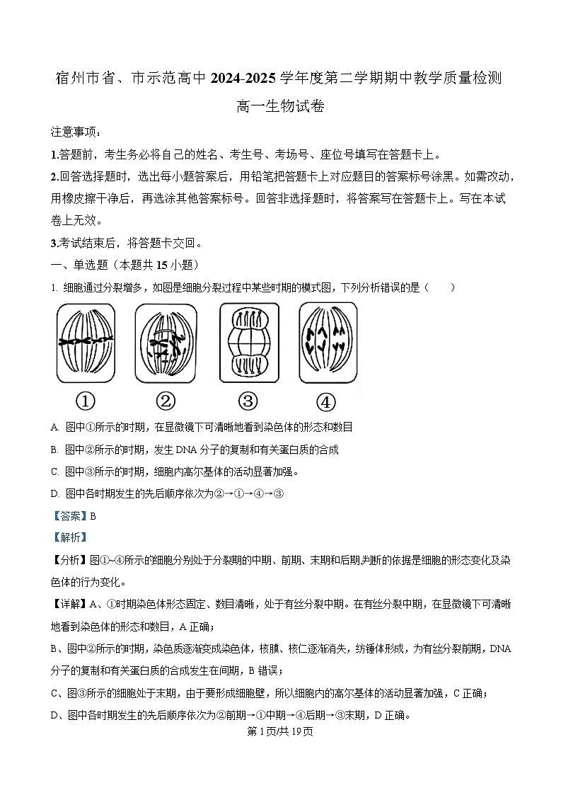 安徽省宿州市省、市示范高中2024-2025学年高一下学期期中教学质量检测生物试卷 Word版含解析第1页