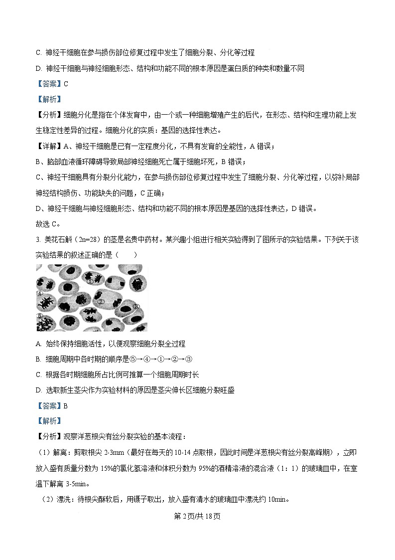 安徽省芜湖市第一中学2024-2025学年高一下学期期中考试生物试题 Word版含解析第2页