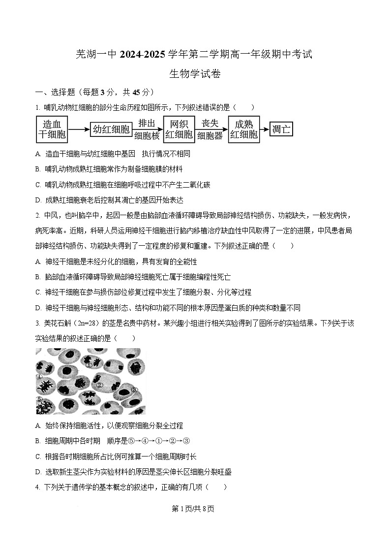 安徽省芜湖市第一中学2024-2025学年高一下学期期中考试生物试题（原卷版）第1页