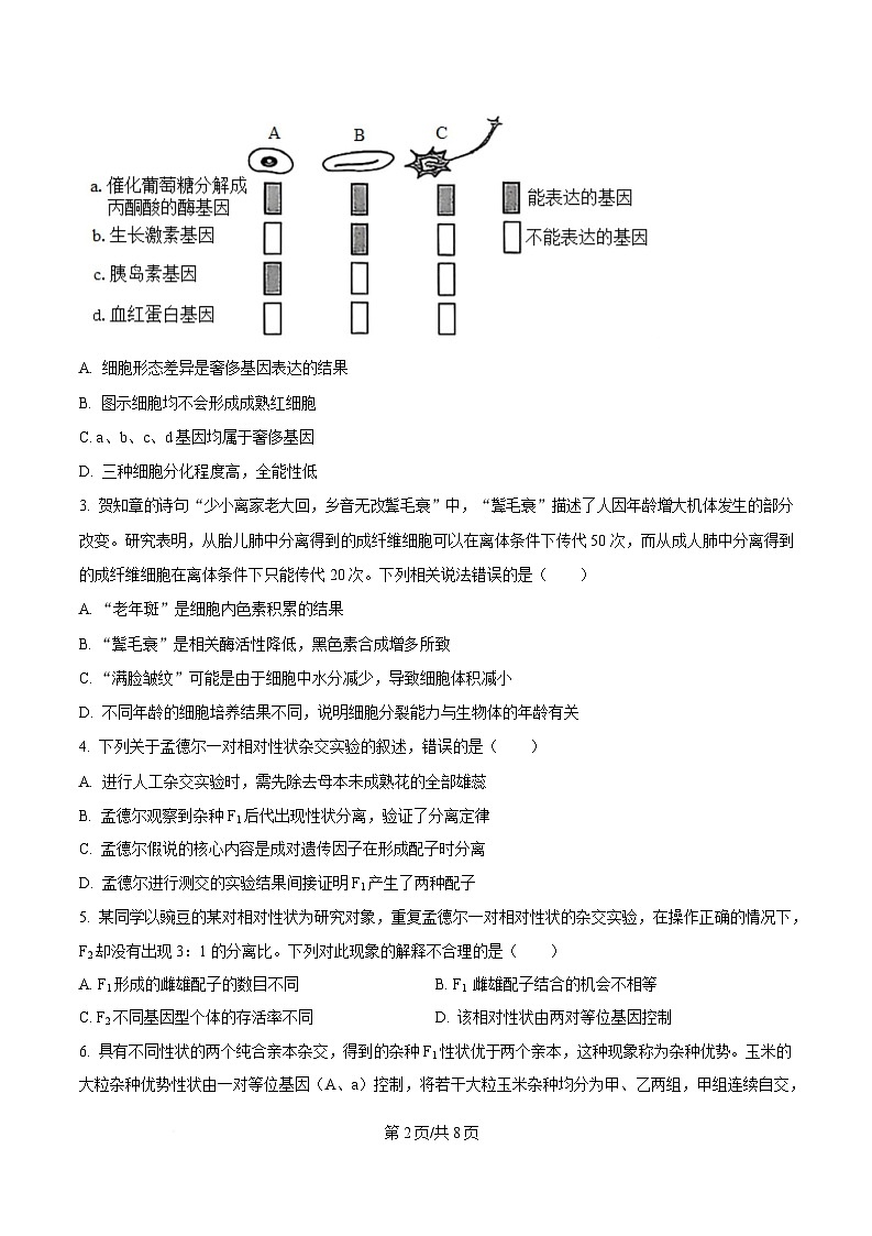 安徽省卓越县中联盟＆皖豫名校联盟2024-2025学年高一下学期期中检测生物（蚌埠专版)试题（原卷版）第2页