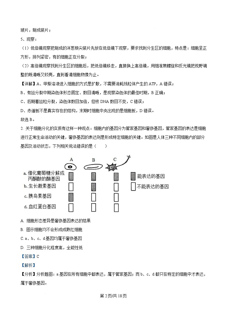 安徽省卓越县中联盟＆皖豫名校联盟2024-2025学年高一下学期期中检测生物（蚌埠专版)试题 Word版含解析第2页