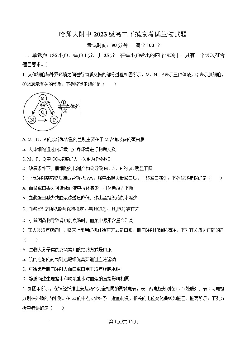 黑龙江省哈尔滨师范大学附属中学2024-2025学年高二下学期开学考试生物试卷（原卷版）第1页