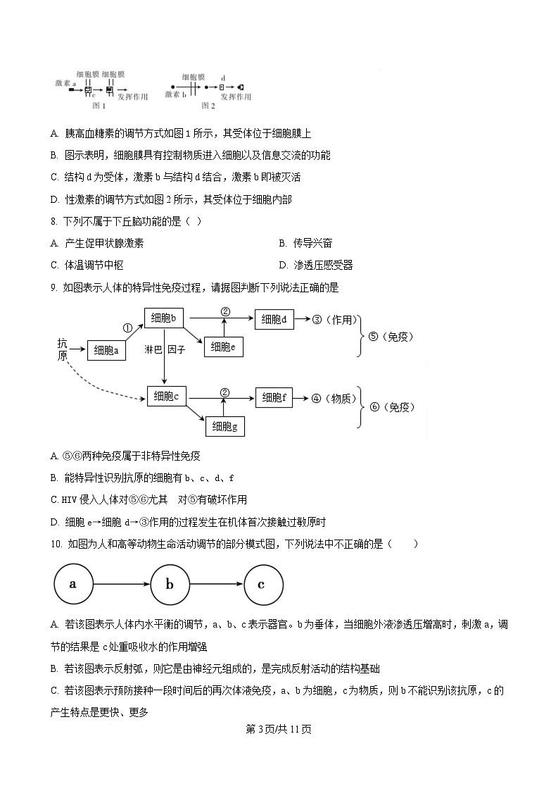 黑龙江省大庆市大庆中学2024-2025学年高二上学期1月期末生物试题（原卷版）第3页