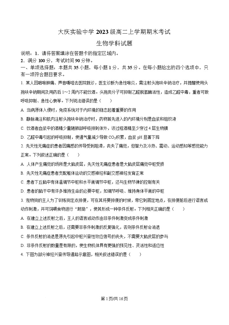 黑龙江省大庆市实验中学2024-2025学年高二上学期期末考试生物试卷（原卷版）第1页