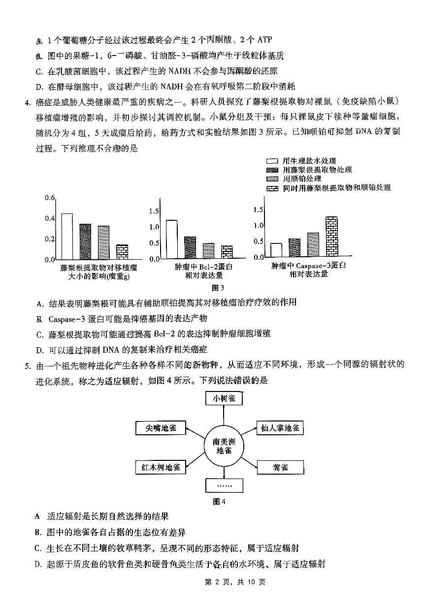 巴蜀中学2025年高考模拟卷生物试卷含答案第2页