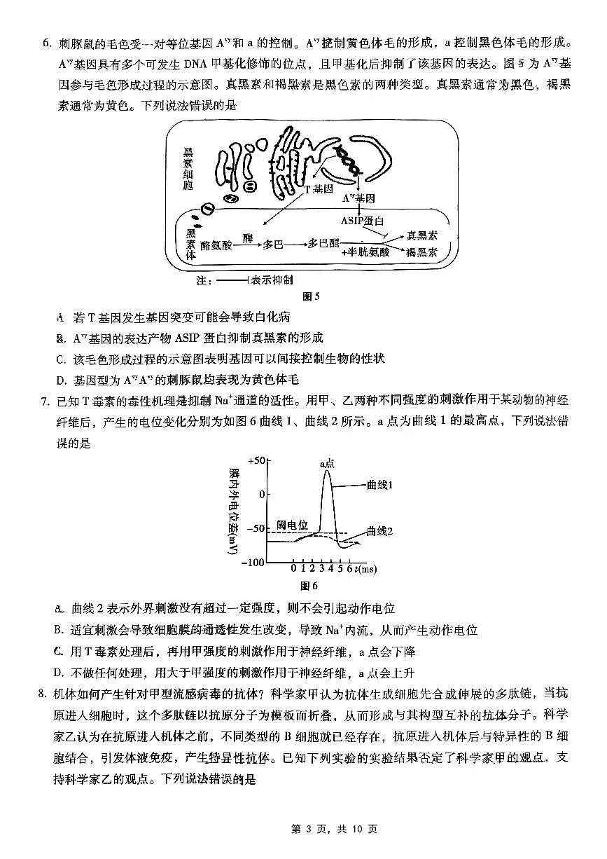 巴蜀中学2025年高考模拟卷生物试卷含答案第3页