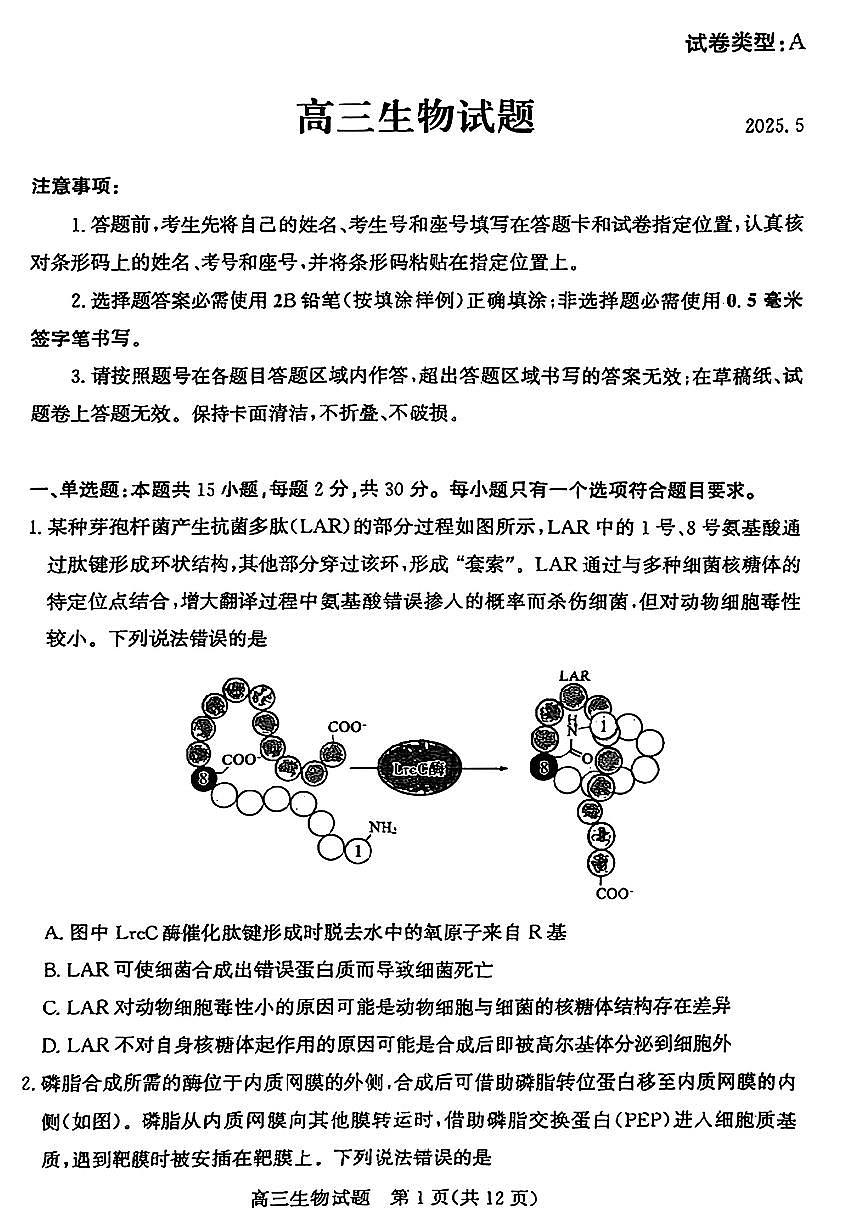 山东省滨州市2025届高三下学期第二次模拟考试生物第1页