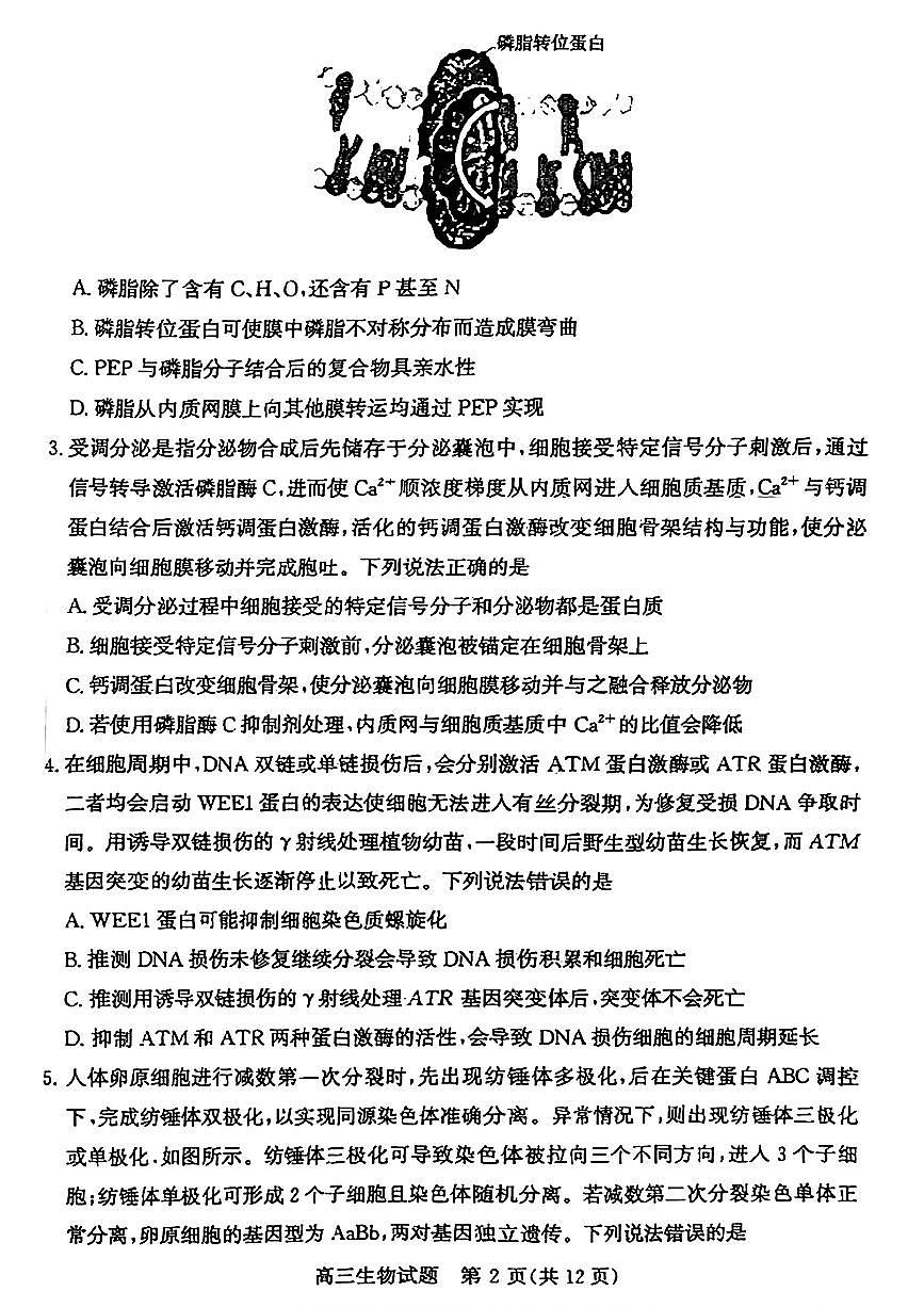 山东省滨州市2025届高三下学期第二次模拟考试生物第2页