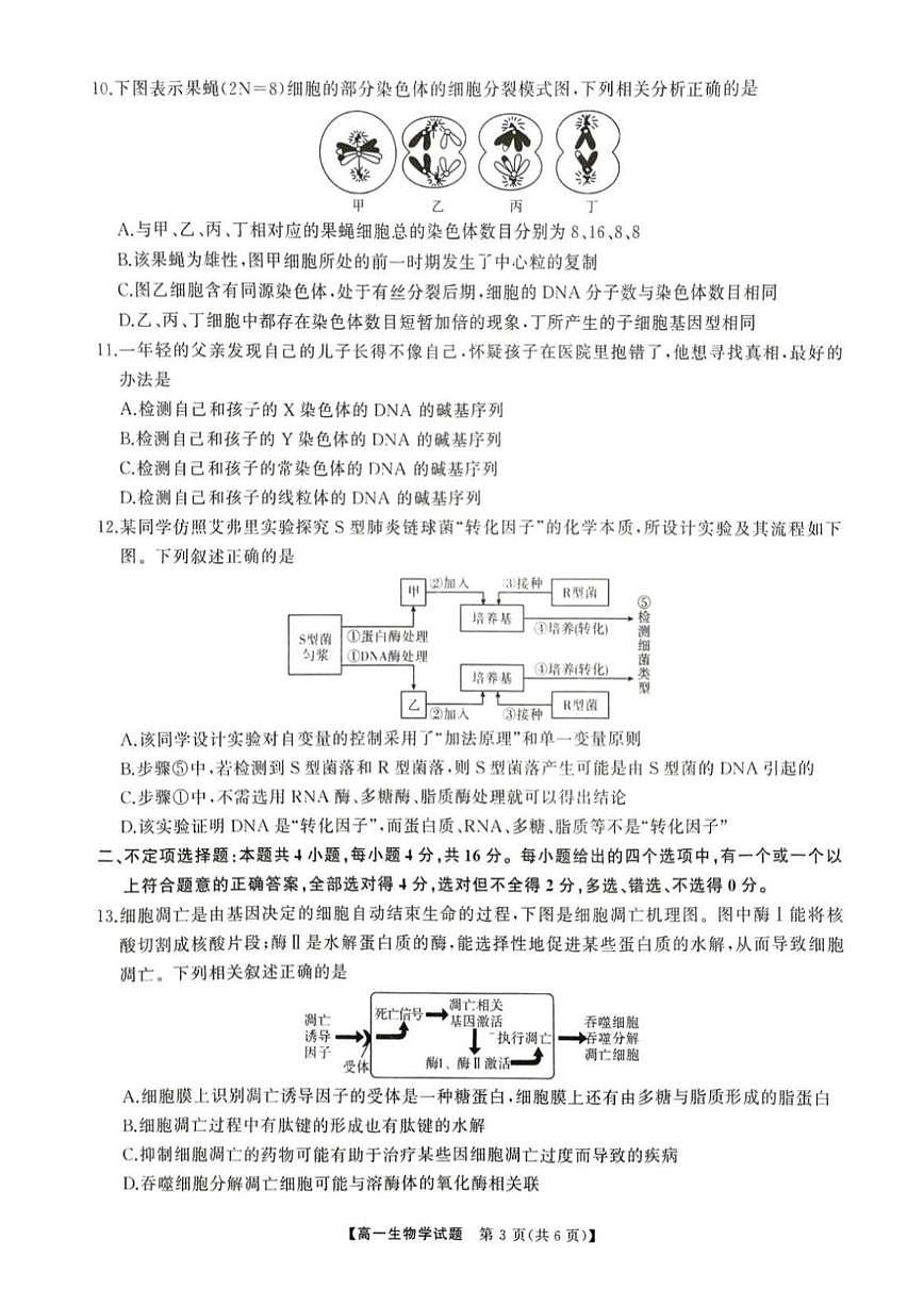 生物-湖南省三湘名校教育联盟2024年下学期高一期中大联考试题和答案第3页
