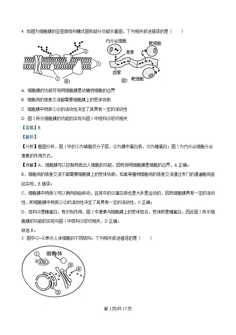 安徽省合肥市合肥一中肥东分校2024-2025学年高三上学期第一次素养拓展生物试题 含解析第3页