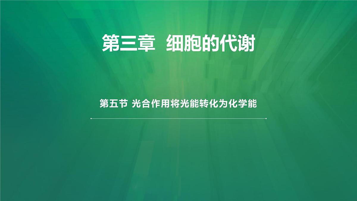 高考生物一轮复习课件：光合作用的原理第1页