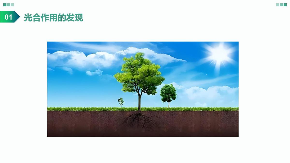 高考生物一轮复习课件：光合作用的原理第2页