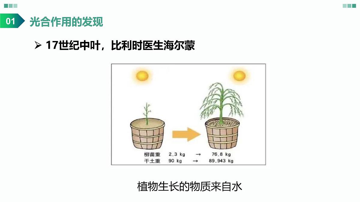 高考生物一轮复习课件：光合作用的原理第3页