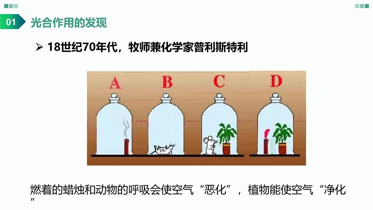 高考生物一轮复习课件：光合作用的原理第4页