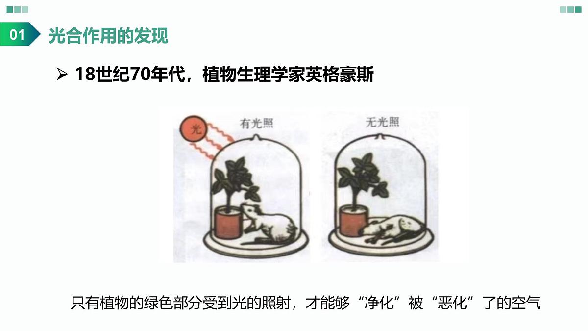 高考生物一轮复习课件：光合作用的原理第5页