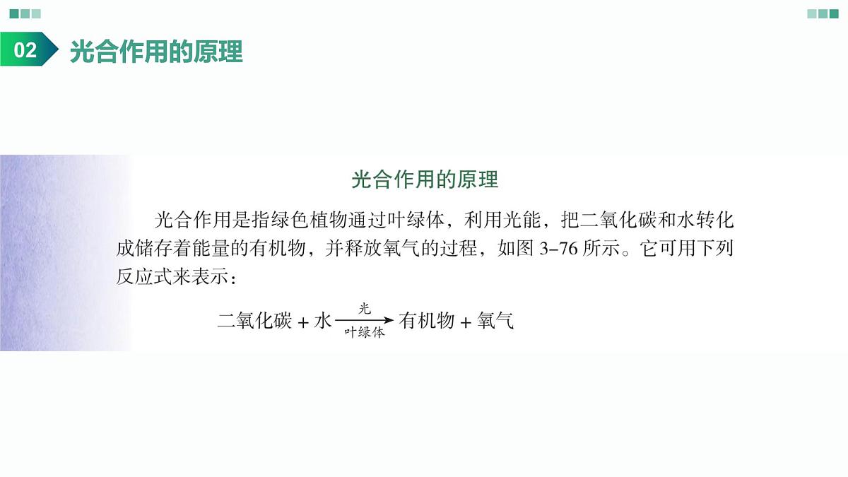 高考生物一轮复习课件：光合作用的原理第6页