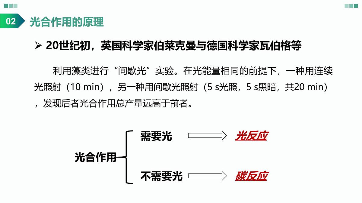 高考生物一轮复习课件：光合作用的原理第8页