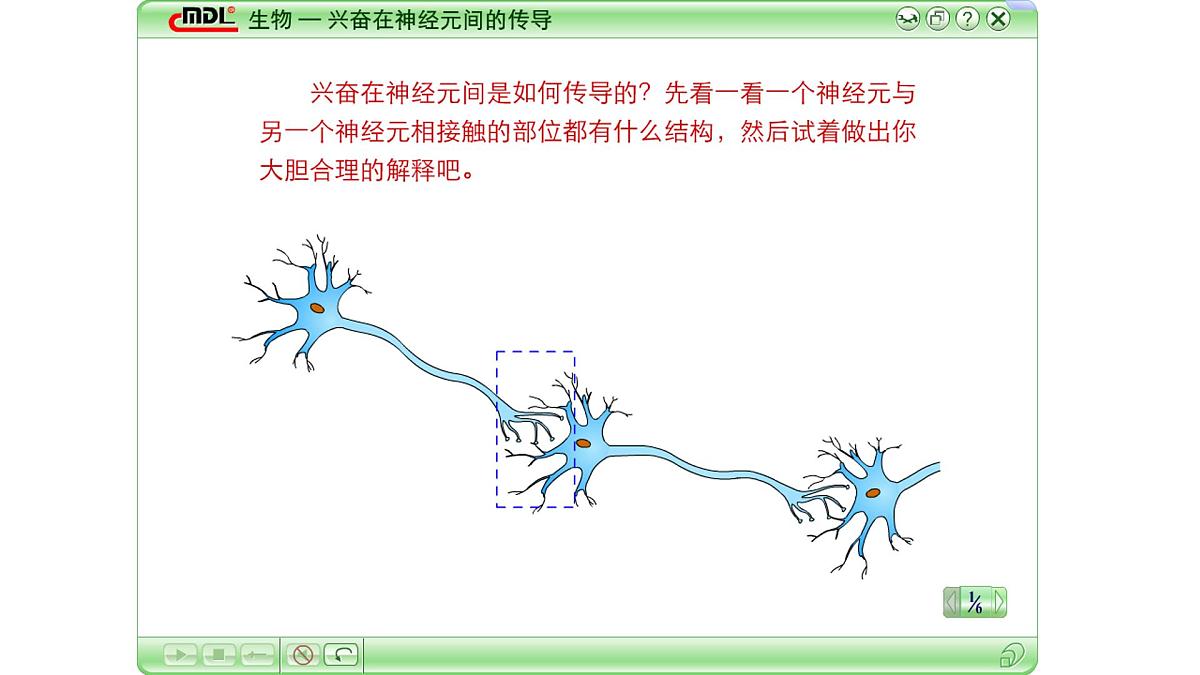 2.2.2《神经冲动的产生和传导》课件 人教版高中生物选择性必修一第6页