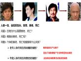 4.3《細胞的衰老和凋亡》課件 人教版高中生物選擇性必修1