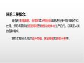 《對動物早期胚胎或配子進行處理可獲得目標個體》課件 浙科版高中生物選擇性必修3