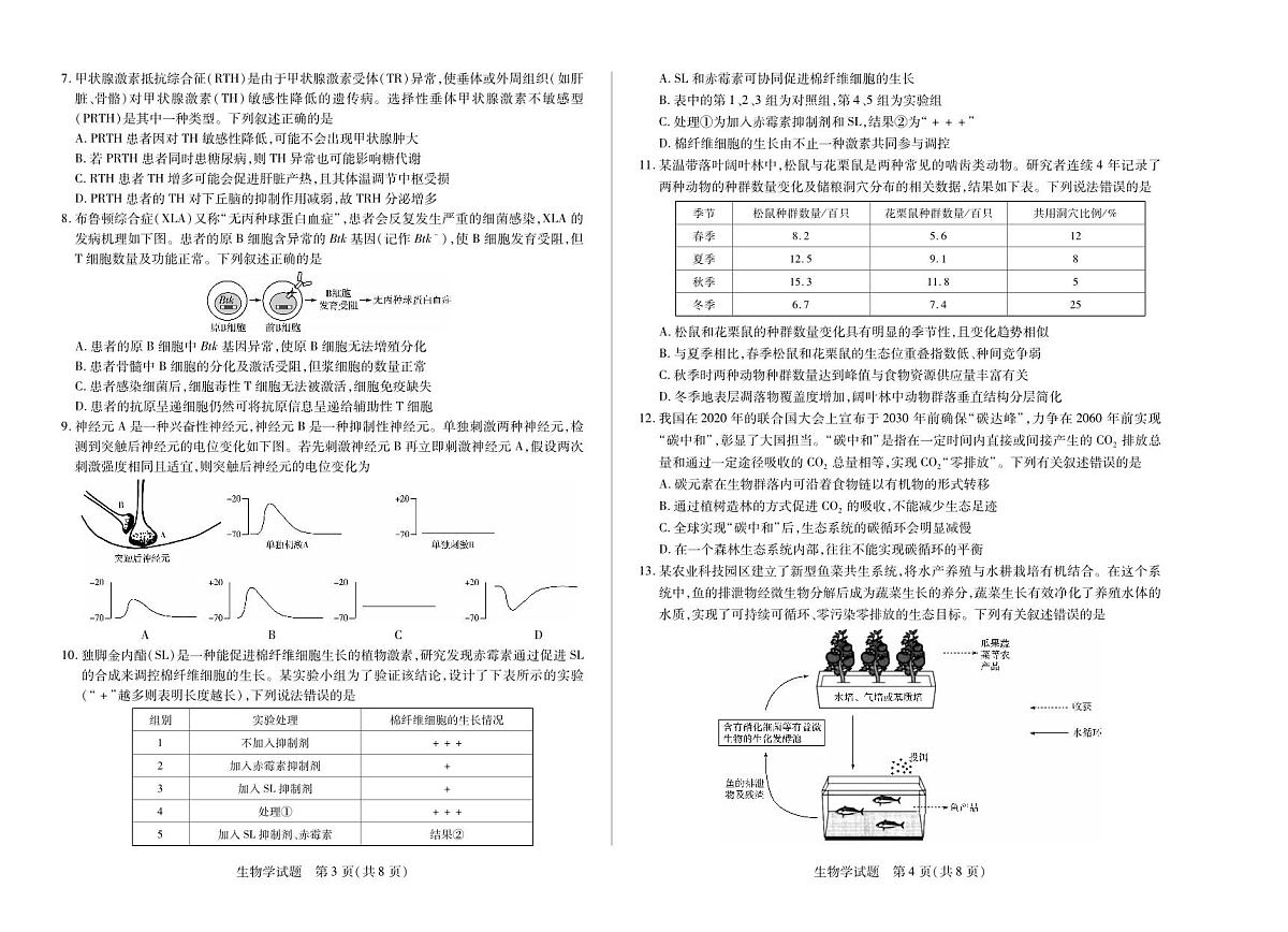 2024-2025学年（下）高三第四次考试生物第2页