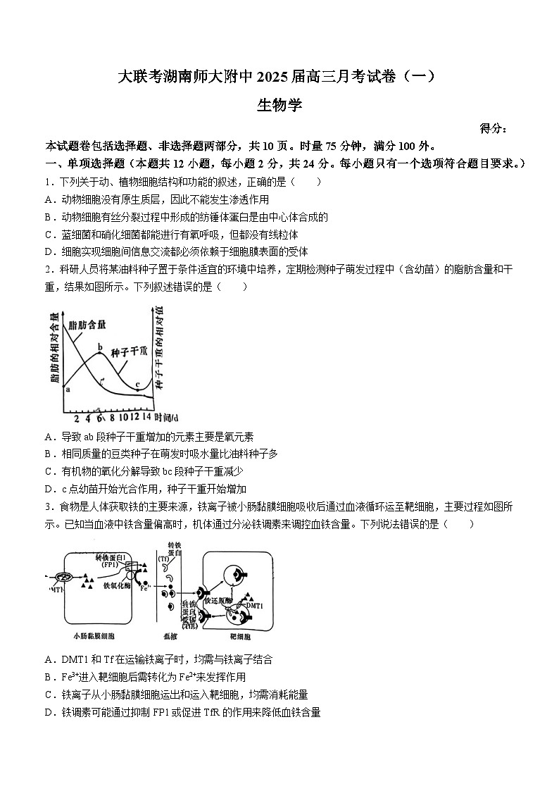 湖南省长沙市湖南师范大学附属中学2024-2025学年高三上学期月考（一）生物试题（含答案）第1页
