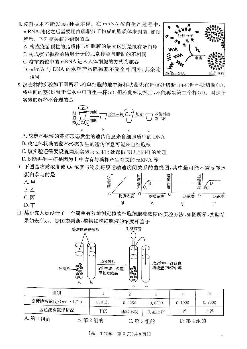 山西省金太阳2024-2025学年高三上学期9月联考生物试题（含答案）第3页