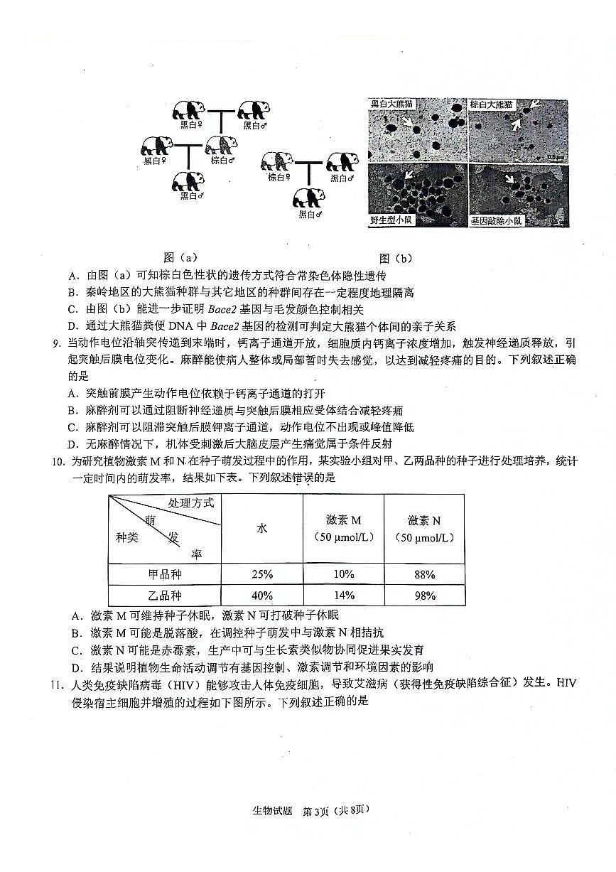 陕西省2024-2025学年高三上学期开学考试生物试卷（含答案）第3页