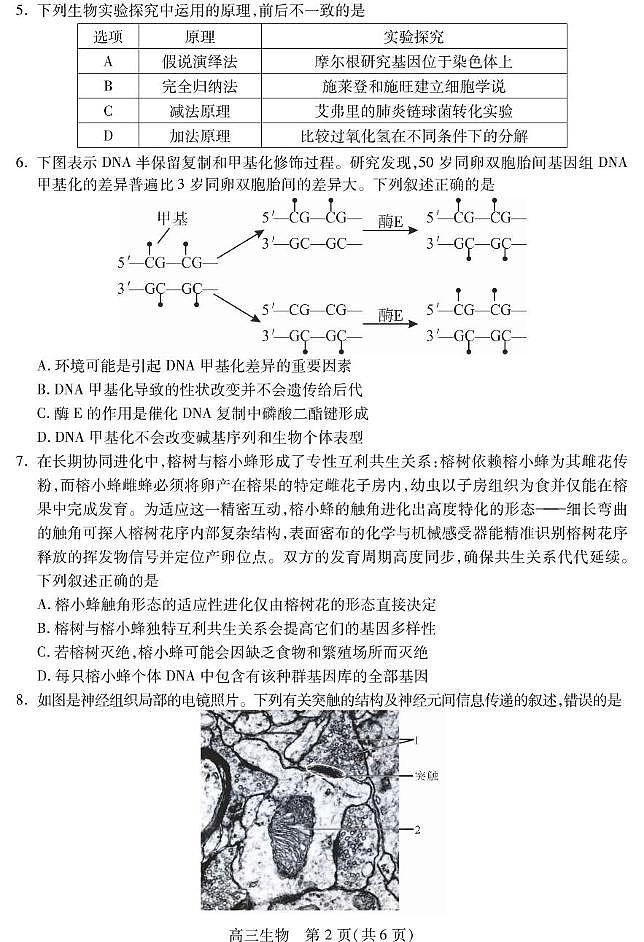四川省乐山市2025届高三高考模拟第三次调查研究考试-生物试题+答案第2页
