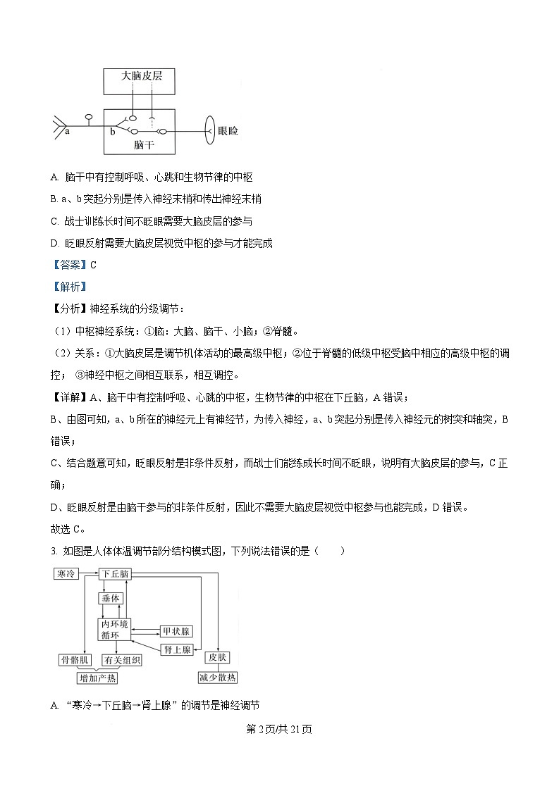 黑龙江省大庆石油高级中学2024-2025学年高二上学期1月期末考试生物试题 含解析第2页