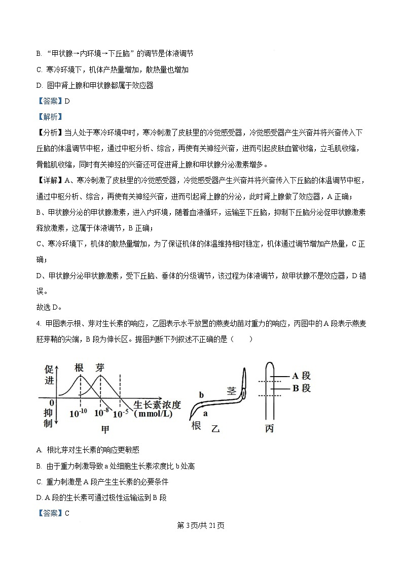 黑龙江省大庆石油高级中学2024-2025学年高二上学期1月期末考试生物试题 含解析第3页