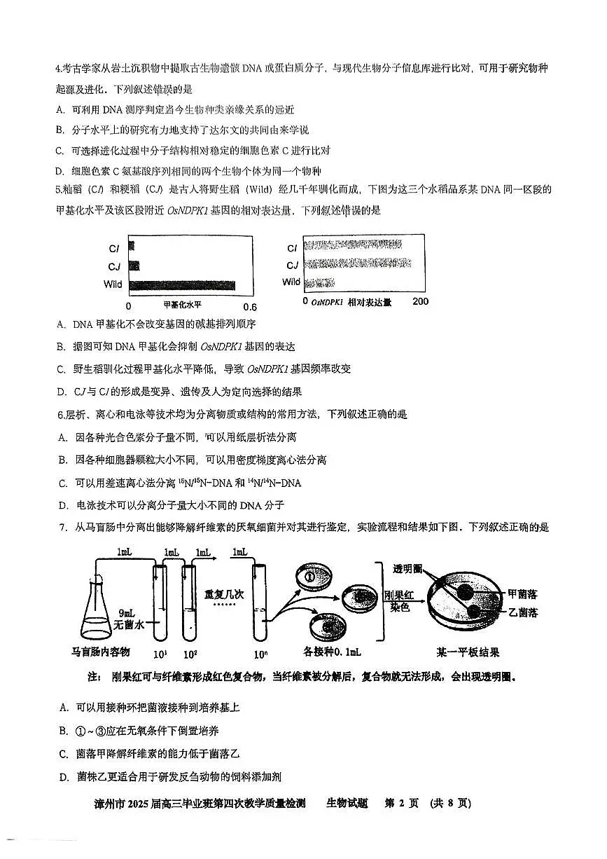 福建省漳州市2025届高三毕业班第四次教学质量检测生物第2页