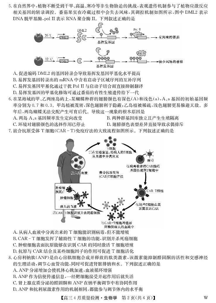生物-4月质量检测（W）第2页