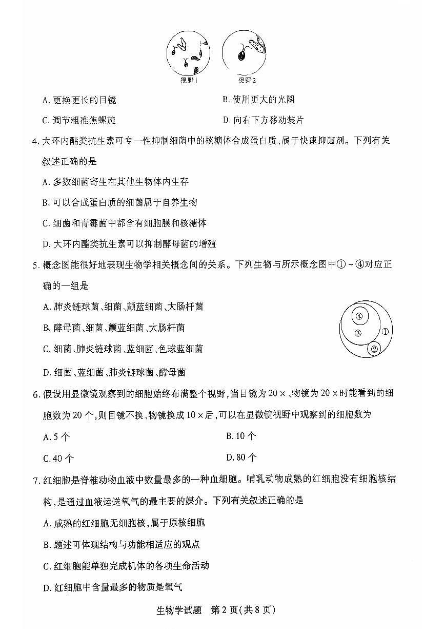 安徽省多校联盟2024-2025学年高一上学期10月月考生物试题（含答案）第2页
