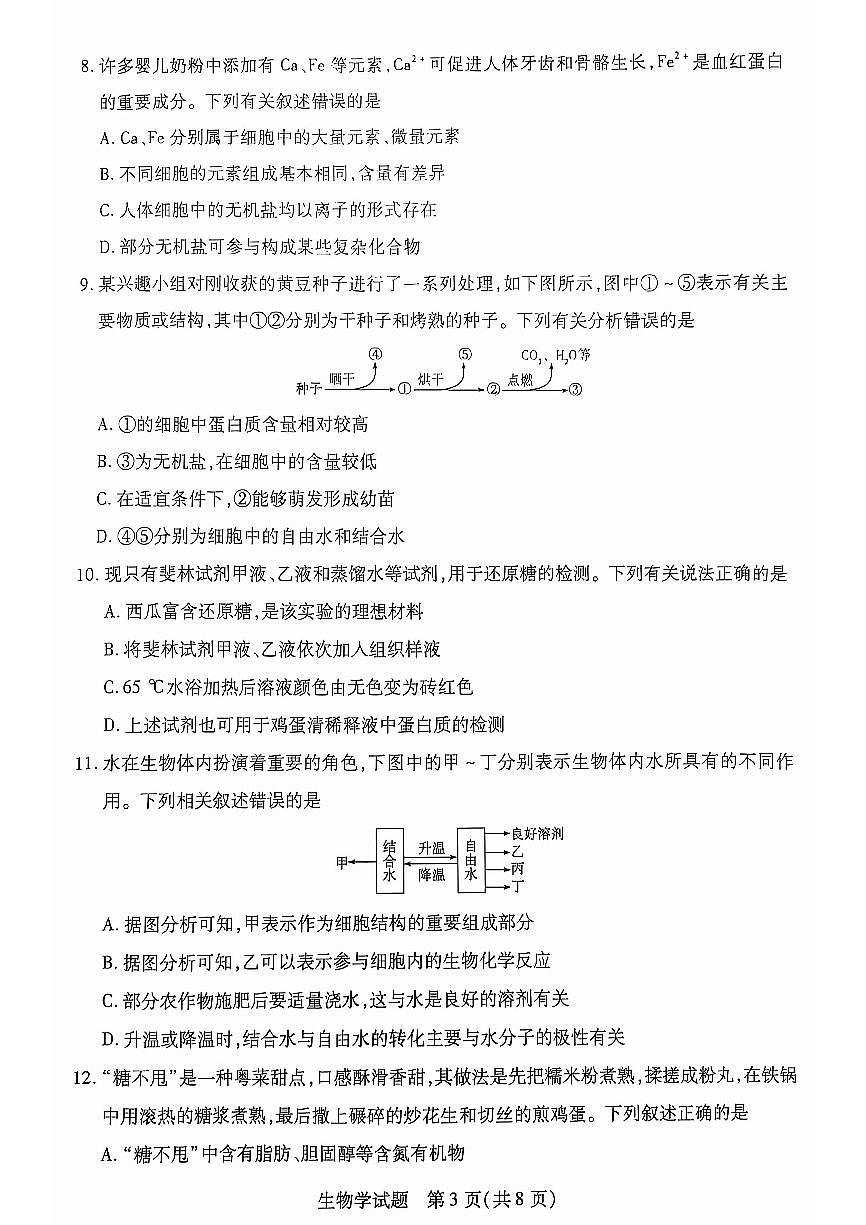 安徽省多校联盟2024-2025学年高一上学期10月月考生物试题（含答案）第3页