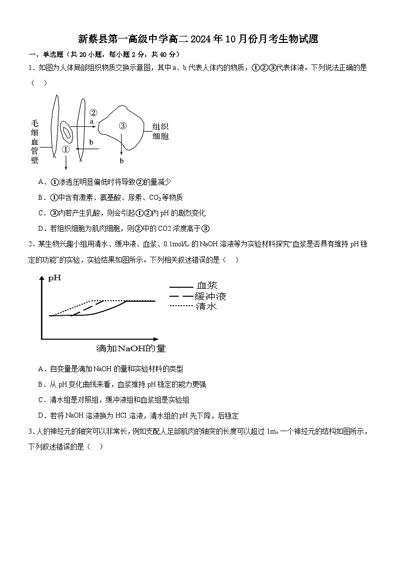 河南省驻马店市新蔡县第一高级中学2024-2025学年高二上学期10月月考生物试题（含答案）第1页