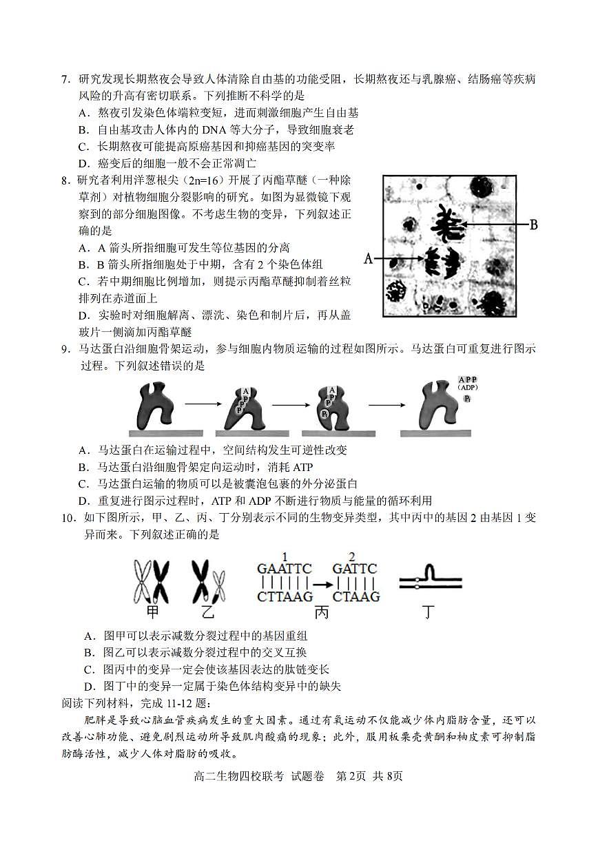 浙江省2024学年第一学期高二年级10月四校联考+生物试题（含答案）第2页