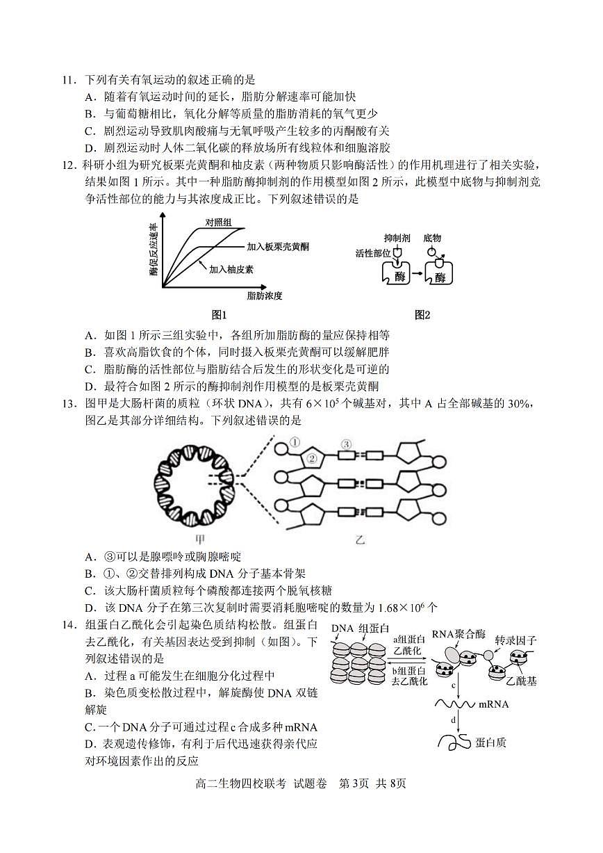 浙江省2024学年第一学期高二年级10月四校联考+生物试题（含答案）第3页