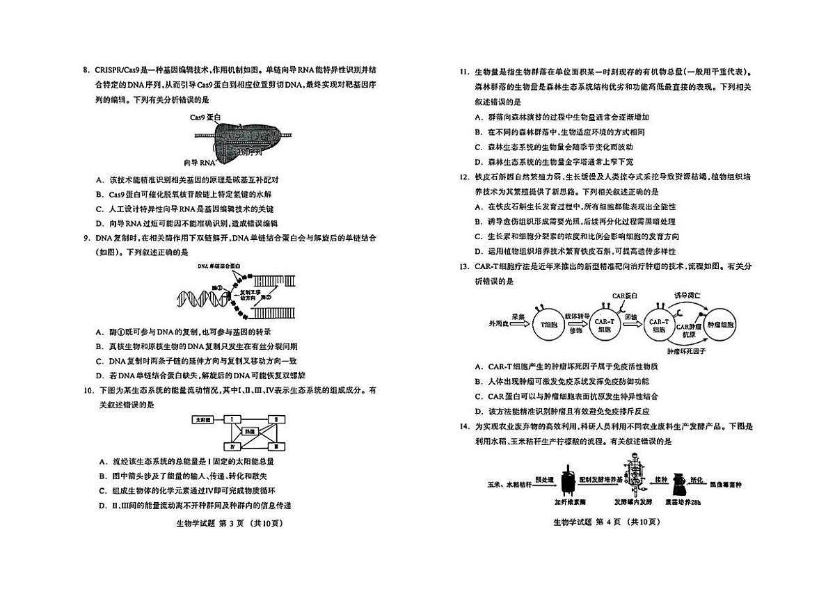 内蒙古自治区呼和浩特市2025届高三下学期二模生物试题 PDF版无答案第2页