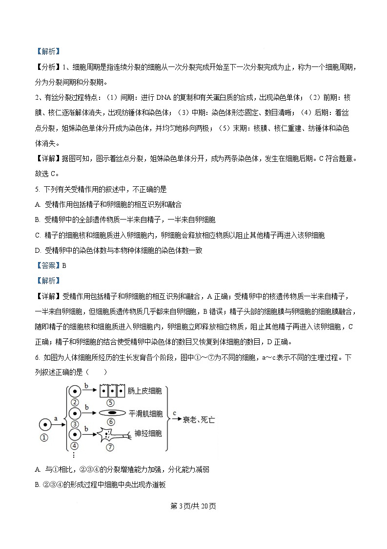 内蒙古自治区乌兰察布市集宁区第二中学2024-2025学年高一下学期4月月考生物试题（Word版附解析）第3页