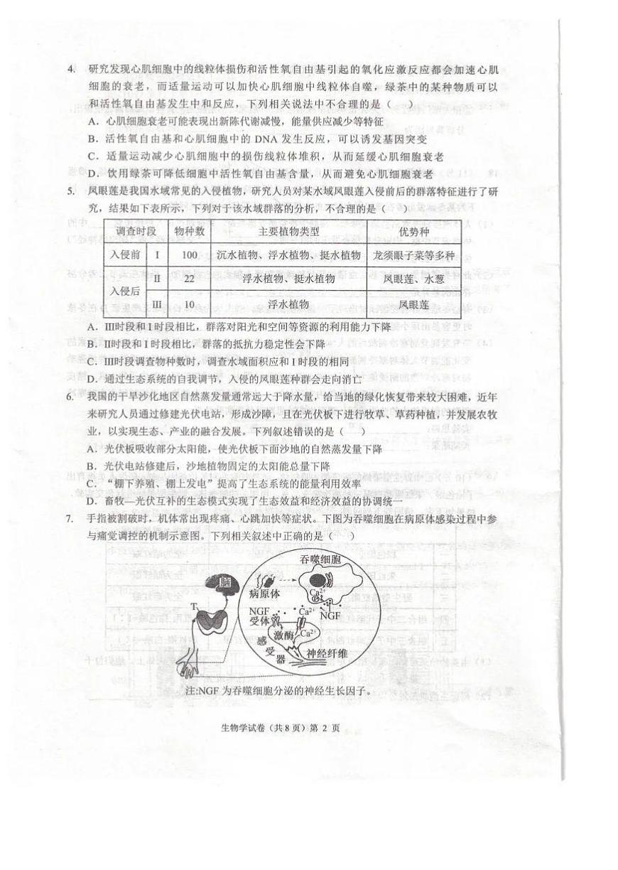 安徽省江淮十校2025届高三年级第一次联考生物试题（含答案）第2页