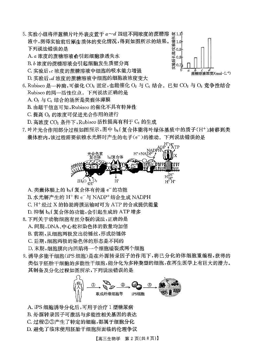 吉辽内蒙古2025届高三金太阳大联考 生物试卷（含答案）第2页