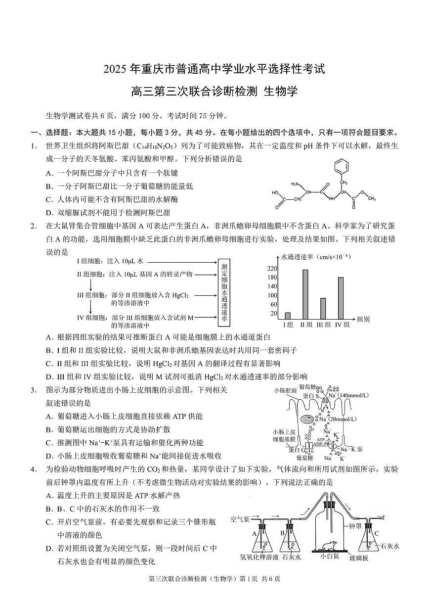 生物丨重庆市2025年普通高等学校招生全国统一考试（康德三诊）试卷及答案第1页