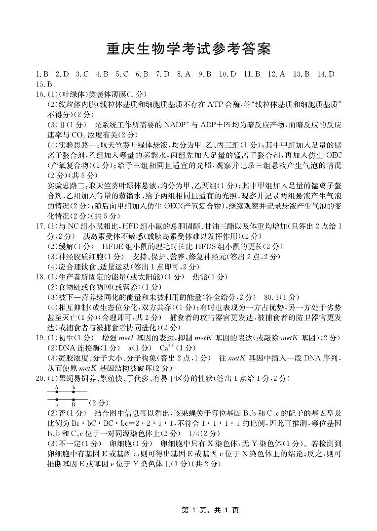 重庆部分学校2025届高三5月联考生物答案第1页
